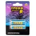 Батарейка AA Трофи LR6 ENERGY MAX  Alkaline (2-BL) (40/320)