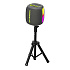 Портативная акустика Hopestar PARTY500 100W (gray)