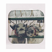 Наклейка - 3D LUX стикер наклейка на телефон (new year)