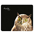 Коврик для компьютерной мыши Dialog PM-H15 Owl (black)