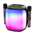 Портативная акустика Hopestar PARTY500 100W (black)