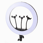Кольцевая лампа Jmary FM-14R, 34 см, пульт ДУ (black)