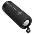 Портативная акустика Borofone BR19 BT 10W (black)