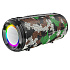 Портативная акустика Borofone BR13 Young 10W (green)