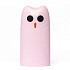 Внешний аккумулятор Hoco KJ2 5000mAh Micro/USB*2 (pink)
