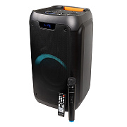 Портативная акустика напольная Nakatomi GS-43 60W (black)