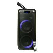 Портативная акустика напольная Nakatomi GS-40 50W (black)