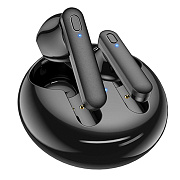 Беспроводные Bluetooth-наушники Borofone TWS BW08 (black)