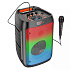 Портативная акустика напольная Borofone BP10 Fireworks, микрофон (black)