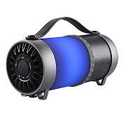 Портативная акустика Dialog Progressive AP-1010 12W (black/white)
