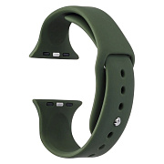 Ремешок - ApW Sport Band Apple Watch 42/44/45/49 mm силикон на кнопке (S) (pine green)
