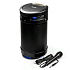 Портативная акустика напольная Dialog Progressive AP-1030 60W (black)
