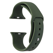 Ремешок - ApW Sport Band Apple Watch 38/40/41 mm силикон на кнопке (L) (pine green)