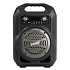 Портативная акустика напольная Smart Buy SBS-4000 BOOM! (black)