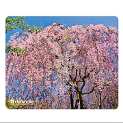 Коврик для компьютерной мыши Defender Silk Pad Nature 230х190х1.6 (в ассортименте 10 видов)