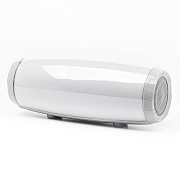 Портативная акустика - TG165 (gray)