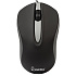 Мышь оптическая Smart Buy SBM-329-KG One (black/grey)