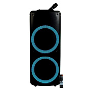 Портативная акустика напольная Nakatomi GS-59 120W (black)
