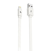 Кабель USB - Apple lightning Hoco X5 Bamboo (повр. уп.) 12W 100см 2,4A  (white)