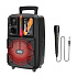 Портативная акустика напольная Hoco BS37 Dancer 30W (black)