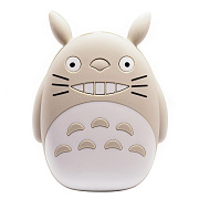 Внешний аккумулятор - Тоторо 6 000mAh Micro USB/USB*2 (gray)