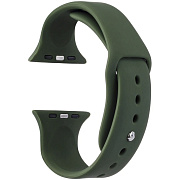 Ремешок - ApW Sport Band Apple Watch 42/44/45/49 mm силикон на кнопке (S) (pine green)