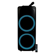 Портативная акустика напольная Nakatomi GS-59 120W (black)