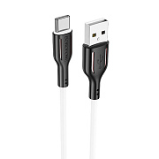 Кабель USB - Type-C Borofone BX63  100см 3A  (black/white)