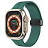 Ремешок - ApW29 Apple Watch 38/40/41 mm силикон на магните (pine green)