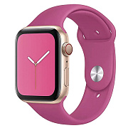 Ремешок - ApW Sport Band Apple Watch 42/44/45/49 mm силикон на кнопке (L) (dragon fruit)
