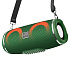 Портативная акустика Hoco HC12 Sports 10W (dark green)