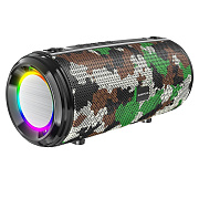 Портативная акустика Borofone BR13 Young 10W (green)