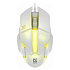 Мышь оптическая Defender Host MB-982 (white)