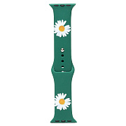 Ремешок - ApW01 Apple Watch 42/44/45/49 mm силикон (001) (green)