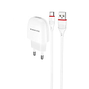 Адаптер Сетевой с кабелем Borofone BA49A Vast USB 2,1A/10W (USB/Type-C) (white)