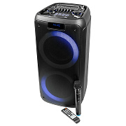 Портативная акустика напольная Nakatomi GS-50 90W (black)
